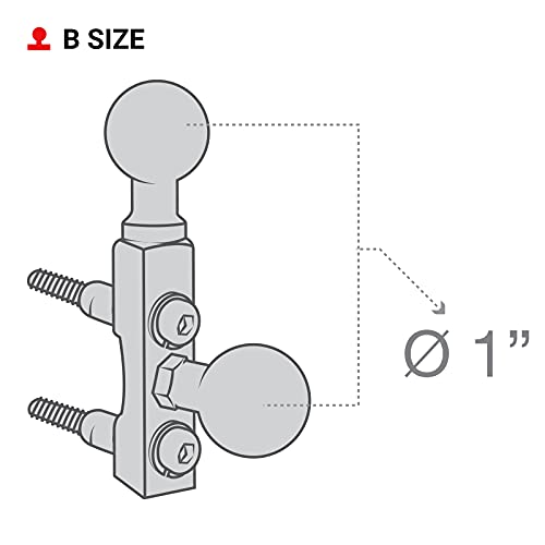 RAM MOUNTS Motorcycle Brake & Clutch Reservoir Mount with Two B Size Balls - style: Double Ball